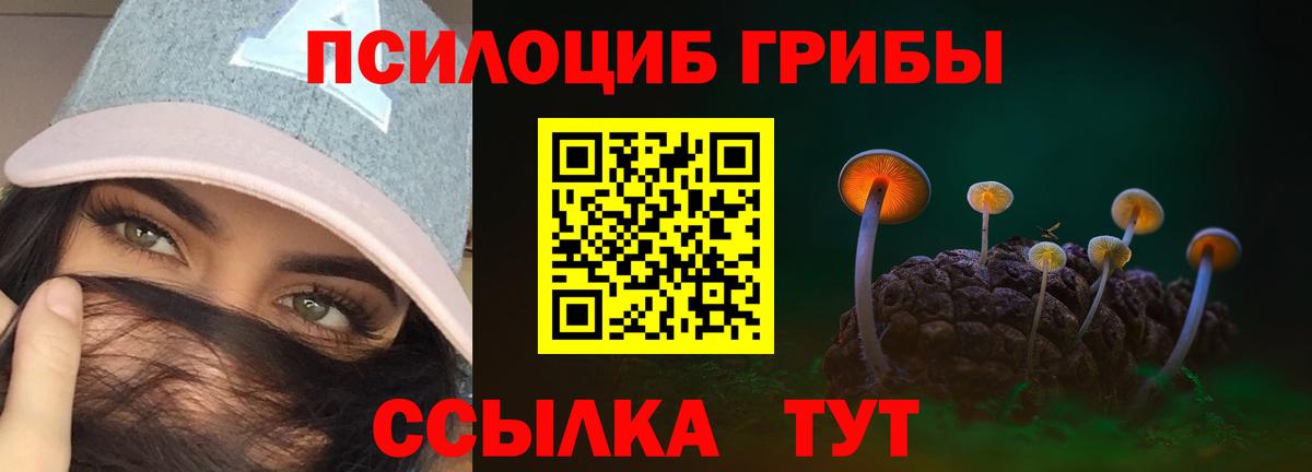 Псилоцибиновые грибы прущие грибы Корсаков